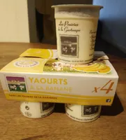 Yaourts à la banane