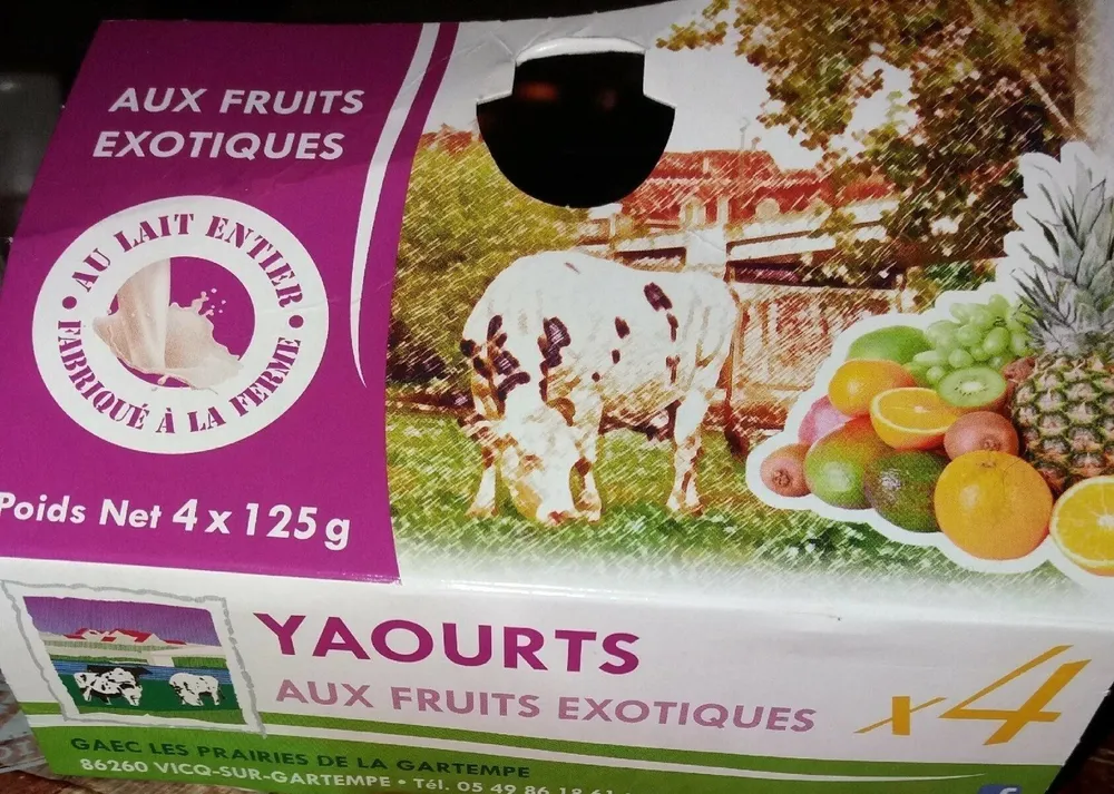 Yaourts aux fruits exotiques