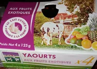 Yaourts aux fruits exotiques