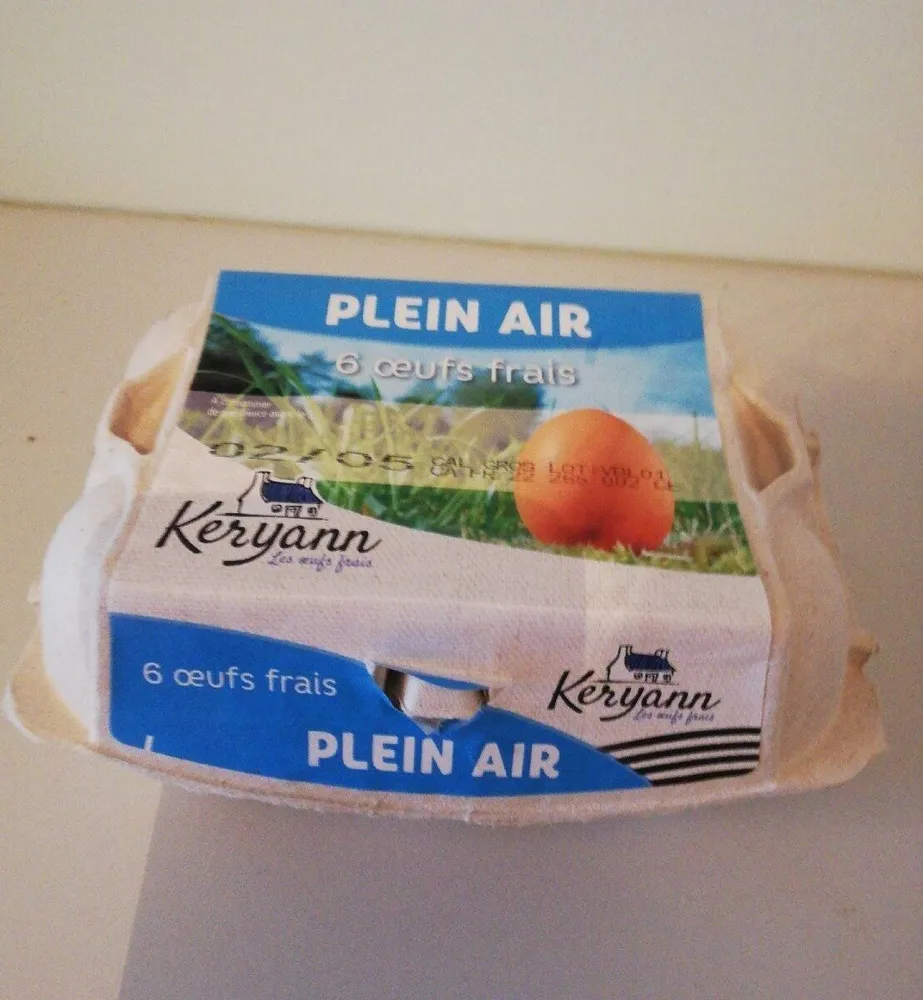 Oeufs plein air