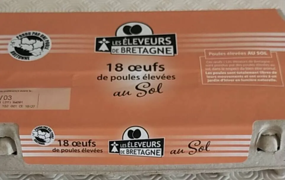 Oeufs de poules élevées au sol
