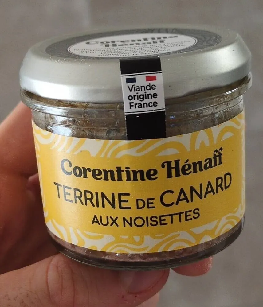 Terrine de canard