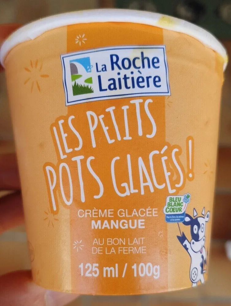 Les petits pots glacés mangue