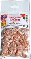 Bourgeons De Sapin