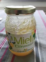 Miel de citronnier d'Espagne