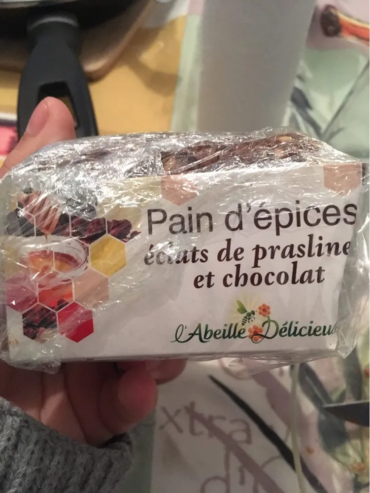 Pain épices Miel Chocolat Pralines 250G