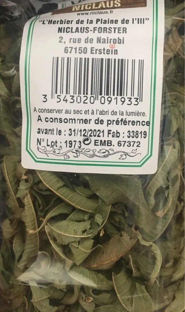 Verveine