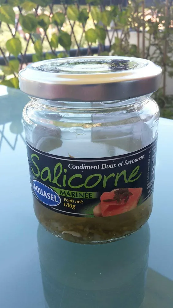 Salicorne
