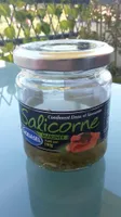 Salicorne
