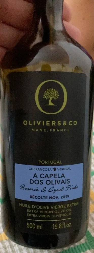 A capela dos olivais