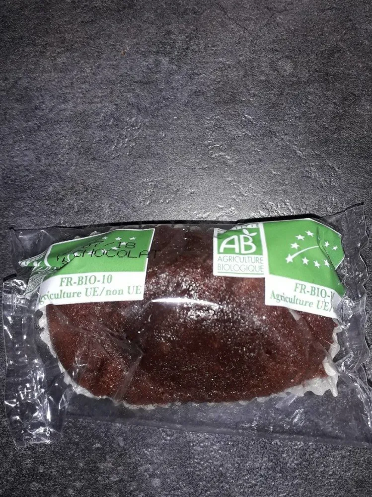 Cake tout chocolat bio