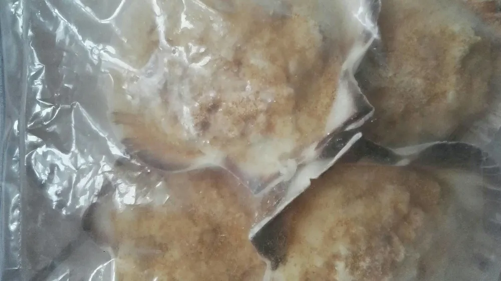 Coquilles gourmandes au filet de poisson sauce crème surgelées