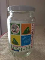 Olives vertes - Lucques