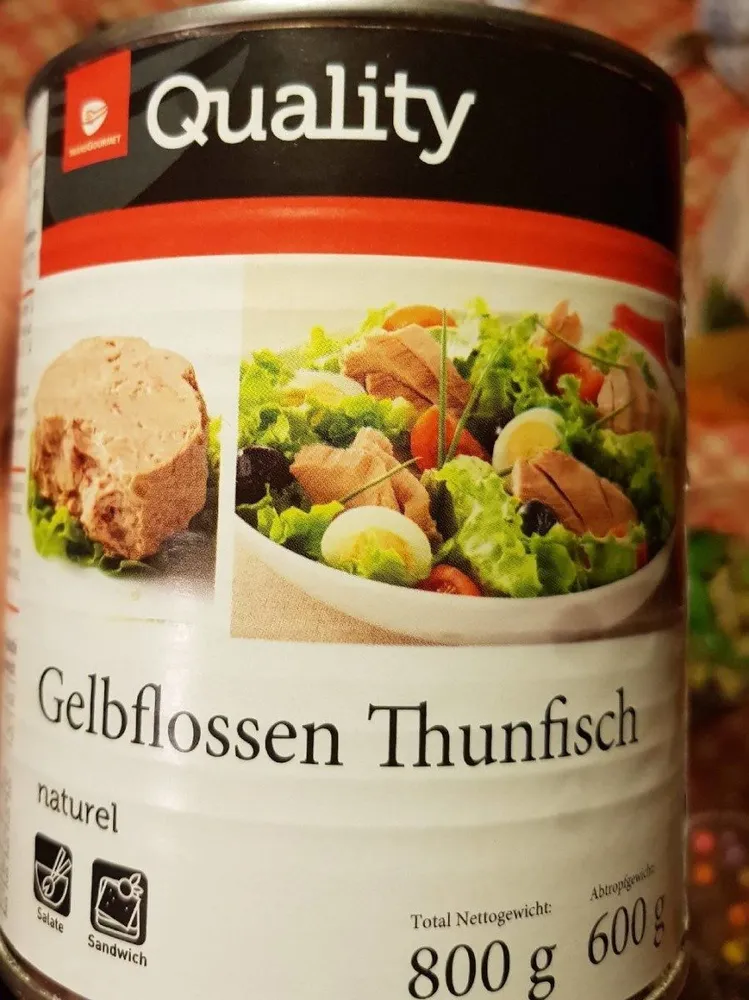 Gelbflossen thunfisch