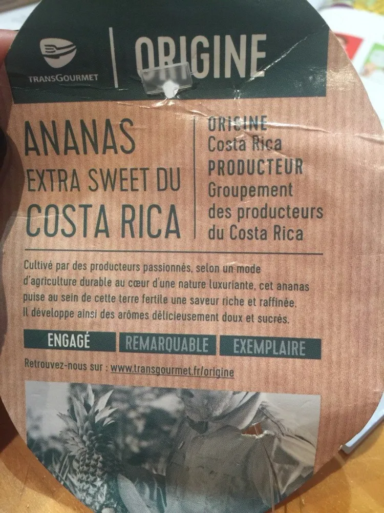 Ananas extra sweet du Costa Rica