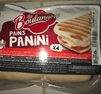 Pain panini