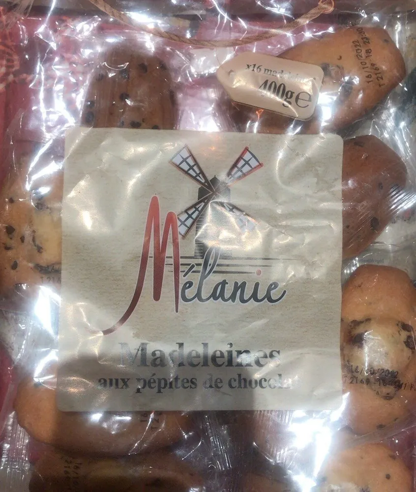 Madeleines aux pépites de chocolats