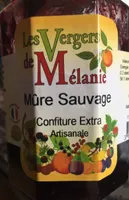 Confiture de mures sauvages