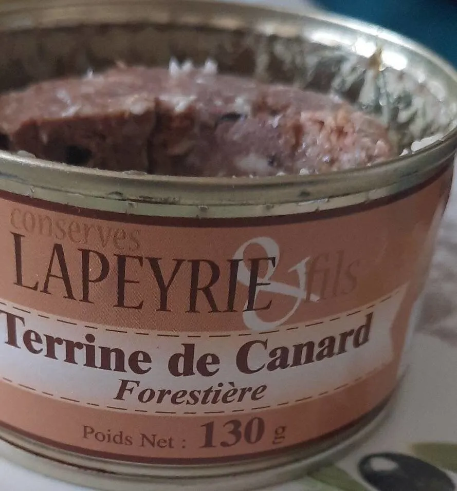 Terrine de canard forestière