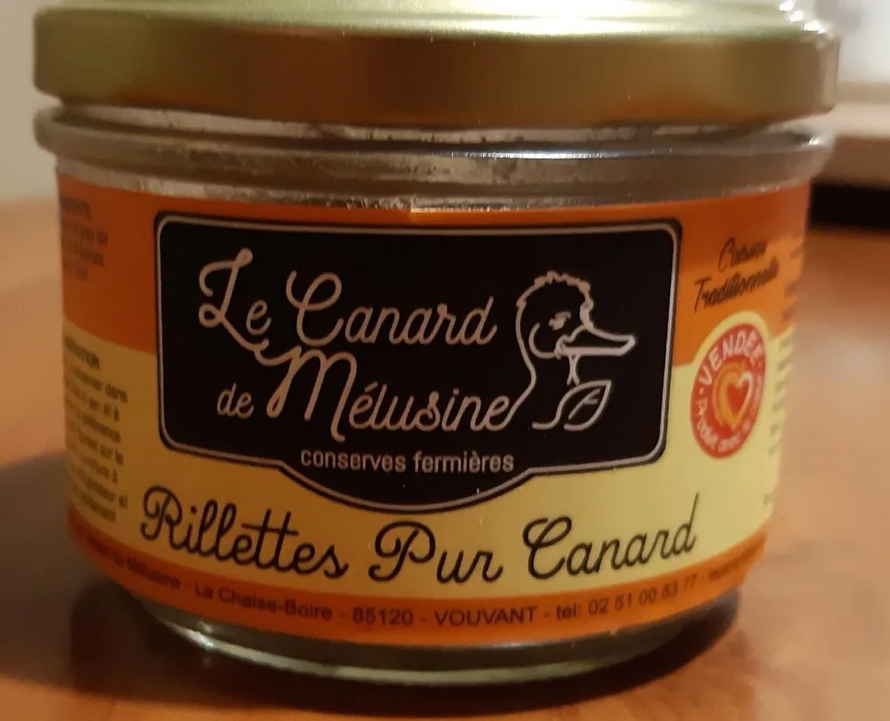 Rillettes pur canard