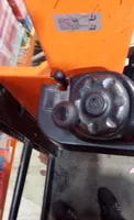 Orange mandarine