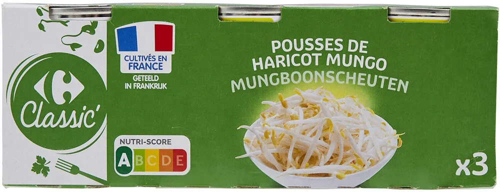 Pousse de Haricot Mungo