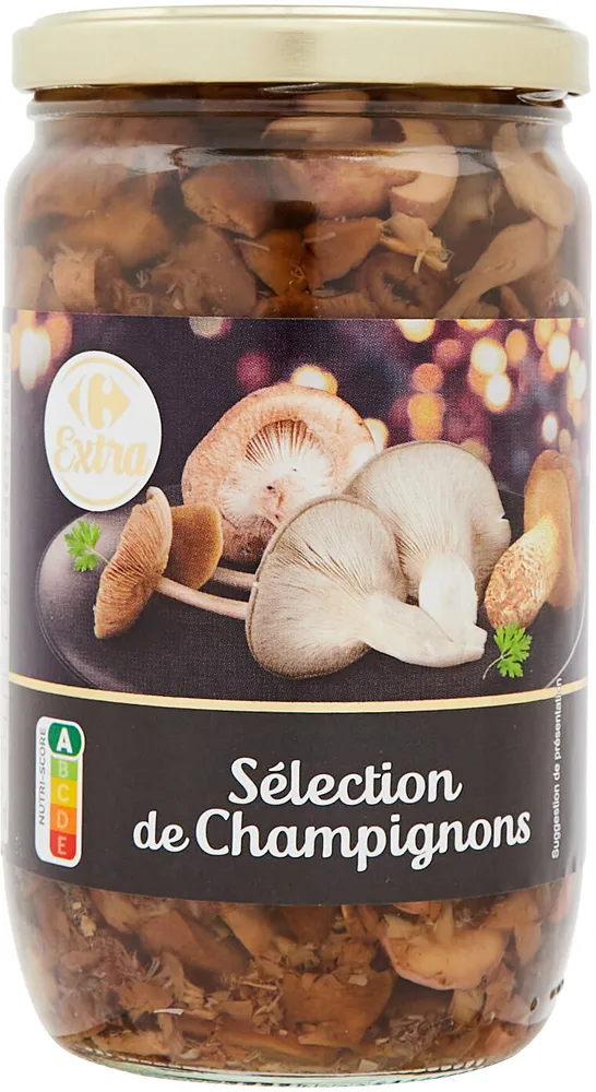 Sélection de champignons
