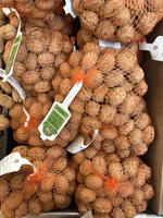 Noix sèches