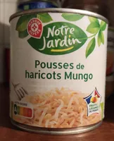 Pousses de soja haricots mungo