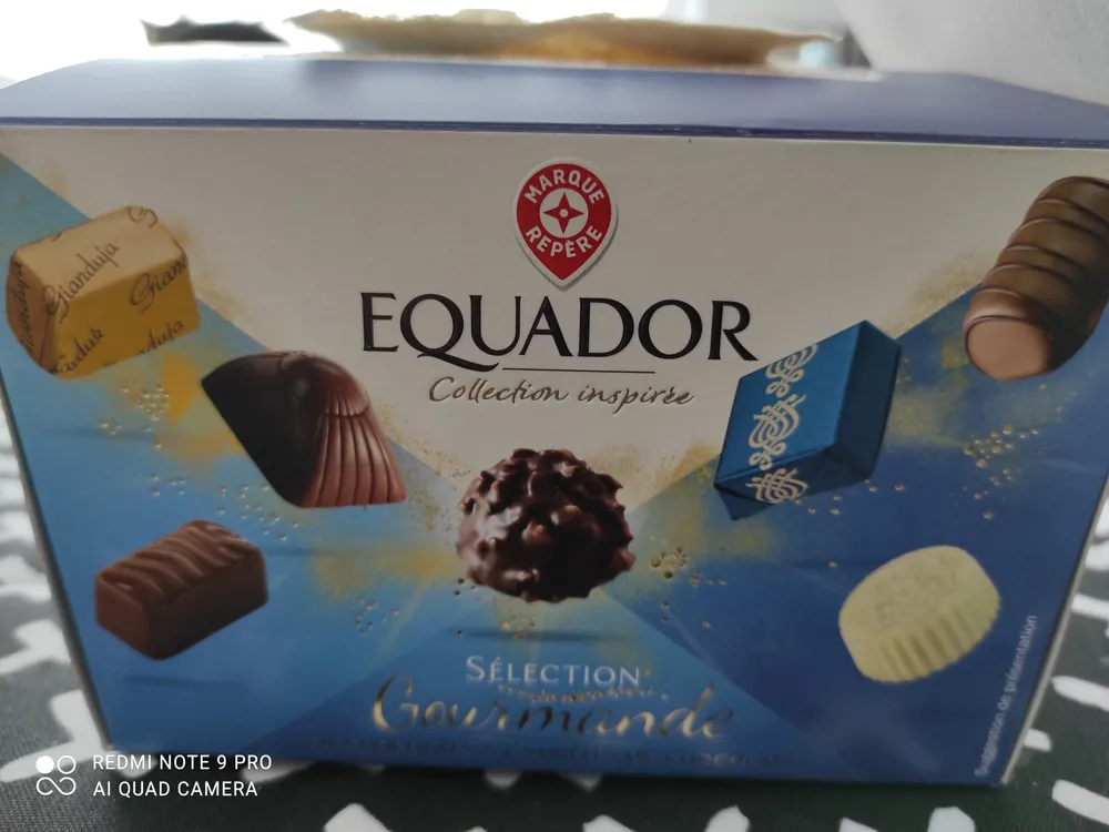 Assortiment Equador Chocolats fins