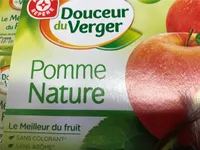 Compote de pomme