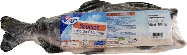 Saumon pacifique