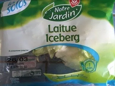 Laitue iceberg