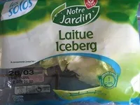 Laitue iceberg
