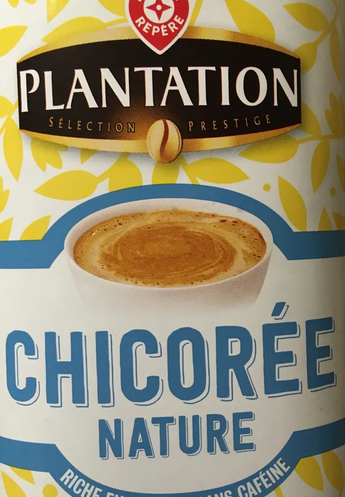 Chicorée nature