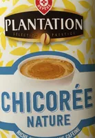 Chicorée nature