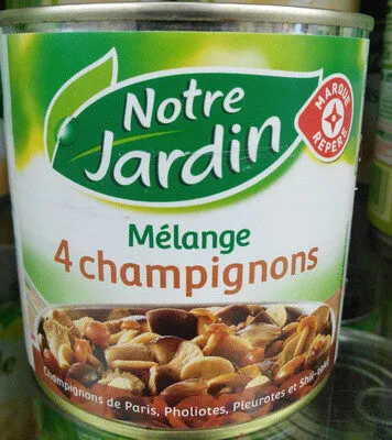 Mélange 4 champignons