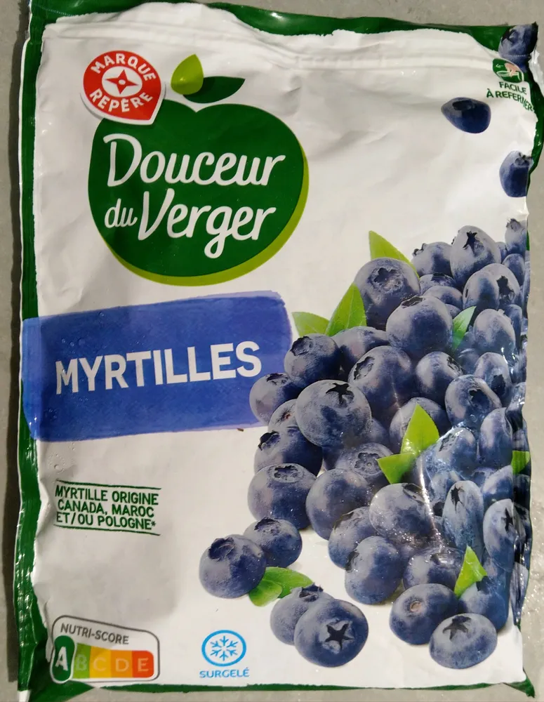 Myrtilles sauvages
