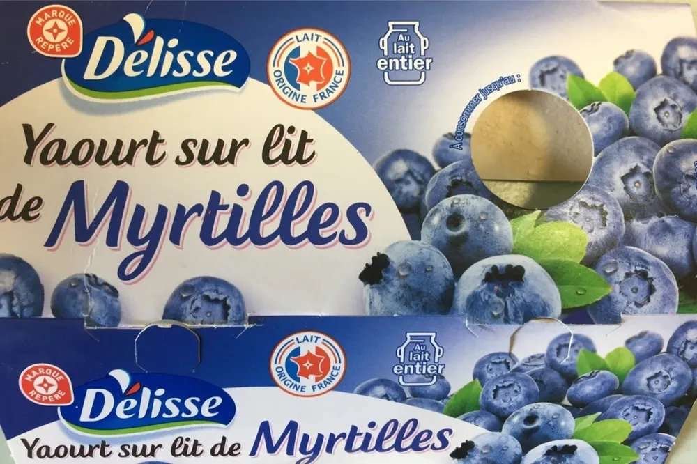 Yaourts gourmands au lait entier sur lit de myrtille