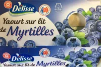 Yaourts gourmands au lait entier sur lit de myrtille