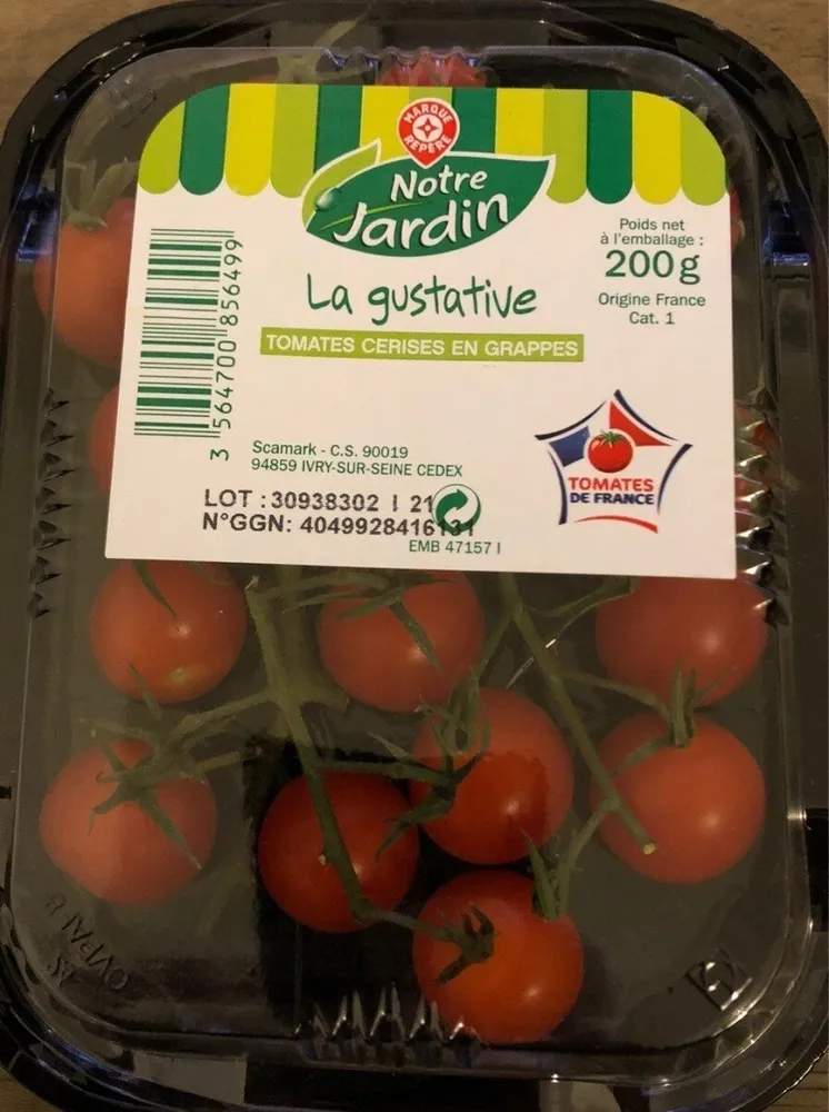 Tomates cerise en grappes - Notre jardin