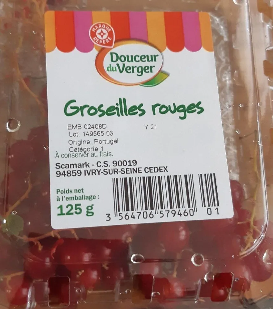 Groseilles rouges