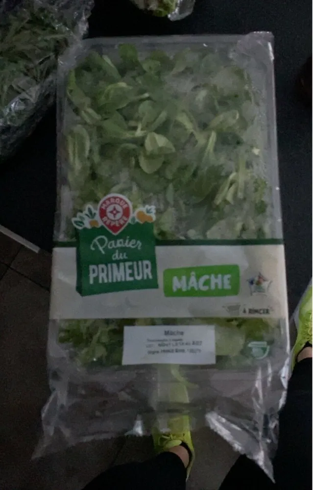 mâche