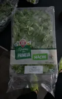 mâche
