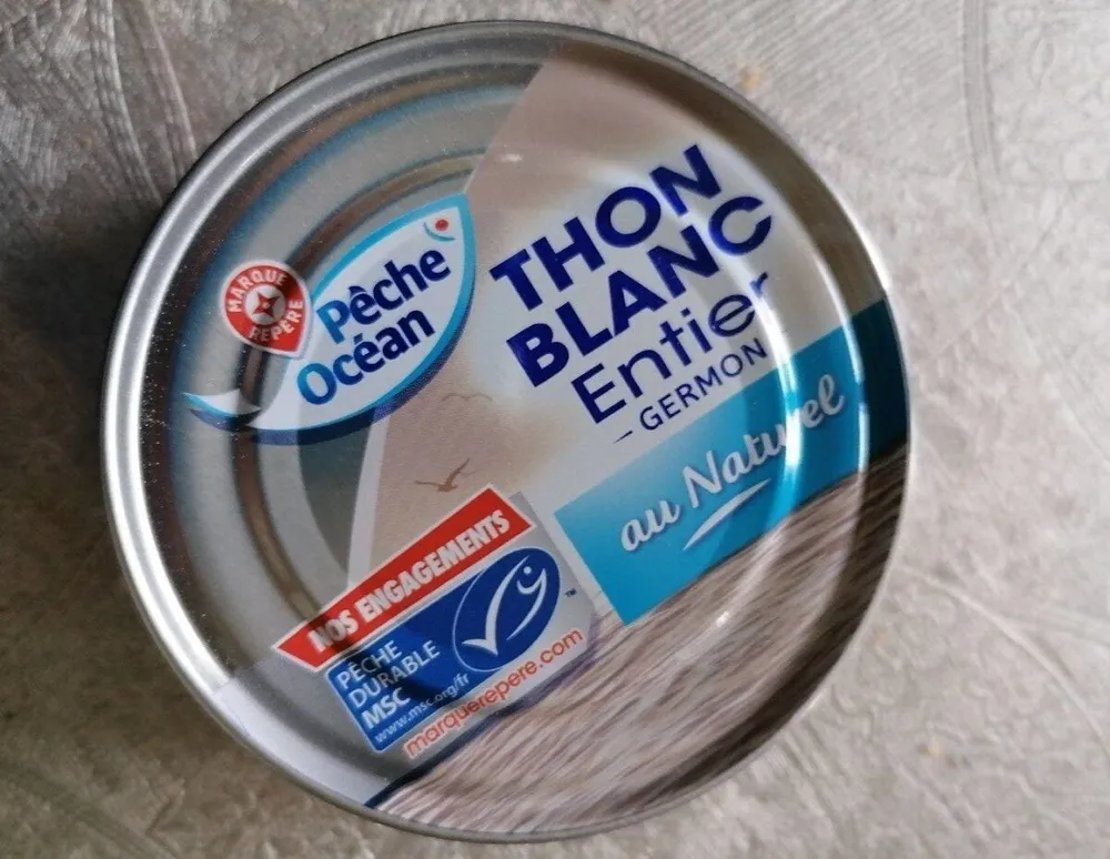 Thon blanc entier germon au nature