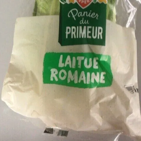 LAITUE ROMAINE