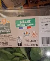 Panier du primeur .Mâche grandes feuilles