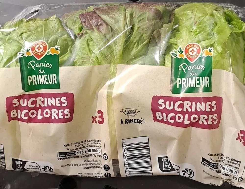Sucrines bicolores
