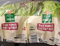 Sucrines bicolores
