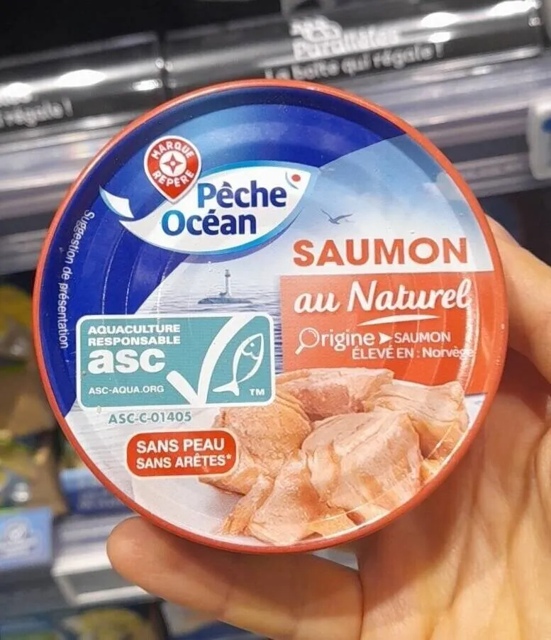 Saumon au naturel